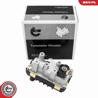 ESEN SKV 95SKV502 - Détendeur de suralimentation