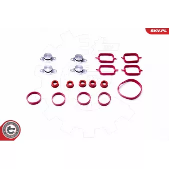 Jeu de joints d'étanchéité, collecteur d'admission ESEN SKV 96SKV054 pour ALFA ROMEO GTV 2.0 CDT - 115cv