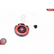 ESEN SKV 96SKV056 - Séparateur d'huile, prise de recyclage des gas de carter