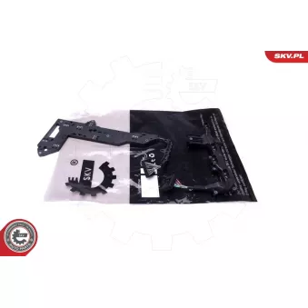 Kit de réparation, flasque de boîte automatique ESEN SKV OEM 0B5398009E