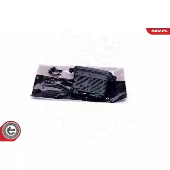 Appareil de commande, système d'éclairage ESEN SKV 96SKV070 pour BMW Série 5 530 d xDrive - 258cv