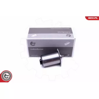 Actuateur, arbre excentrique (levée variable) ESEN SKV 96SKV089 pour RENAULT GRAND SCÉNIC 3.0si - 265cv