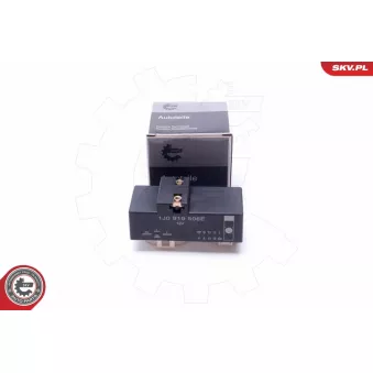 Relais,chasse du ventilateur de radiateur ESEN SKV 96SKV206 pour SEAT CORDOBA 1.9 SDI - 68cv