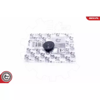 Kit de réparation, ventilation du carter-moteur ESEN SKV 96SKV222