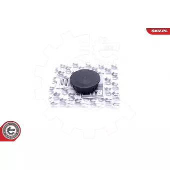 Kit de réparation, ventilation du carter-moteur ESEN SKV 96SKV223