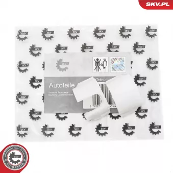 Kit de réparation, levier de vitesses ESEN SKV 96SKV281 pour MERCEDES-BENZ VIANO CDI 2.0 4-matic 116cv