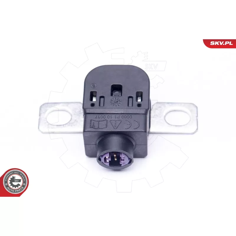 Capteur, Gestion des batteries ESEN SKV 96SKV300 - Visuel 1
