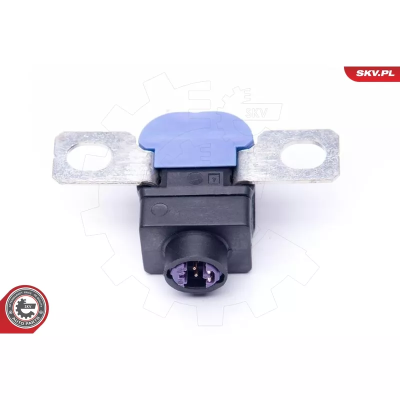 Capteur, Gestion des batteries ESEN SKV 96SKV300 - Visuel 2