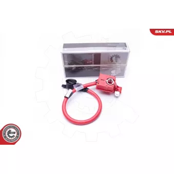 Adaptateur de batterie ESEN SKV 96SKV301 pour BMW Série 4 525 d - 204cv