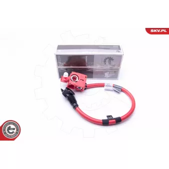 Adaptateur de batterie ESEN SKV OEM 9217033