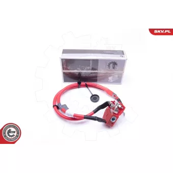 Adaptateur de batterie ESEN SKV OEM 61129253111