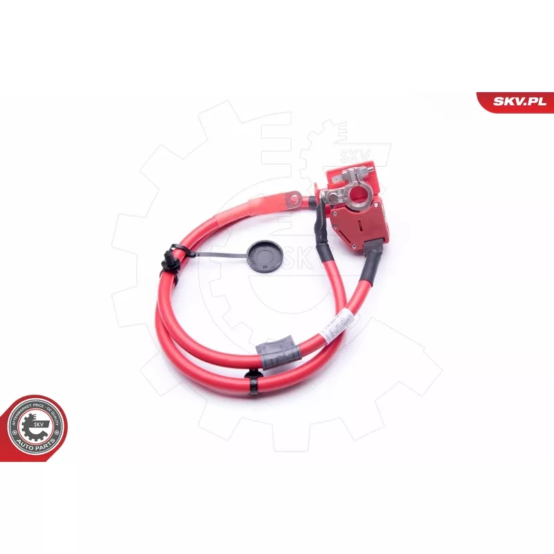 Adaptateur de batterie ESEN SKV 96SKV307 - Visuel 2