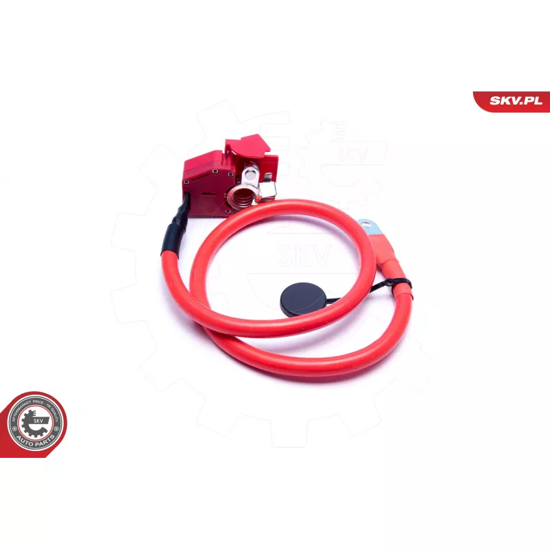 Adaptateur de batterie ESEN SKV 96SKV314 - Visuel 1