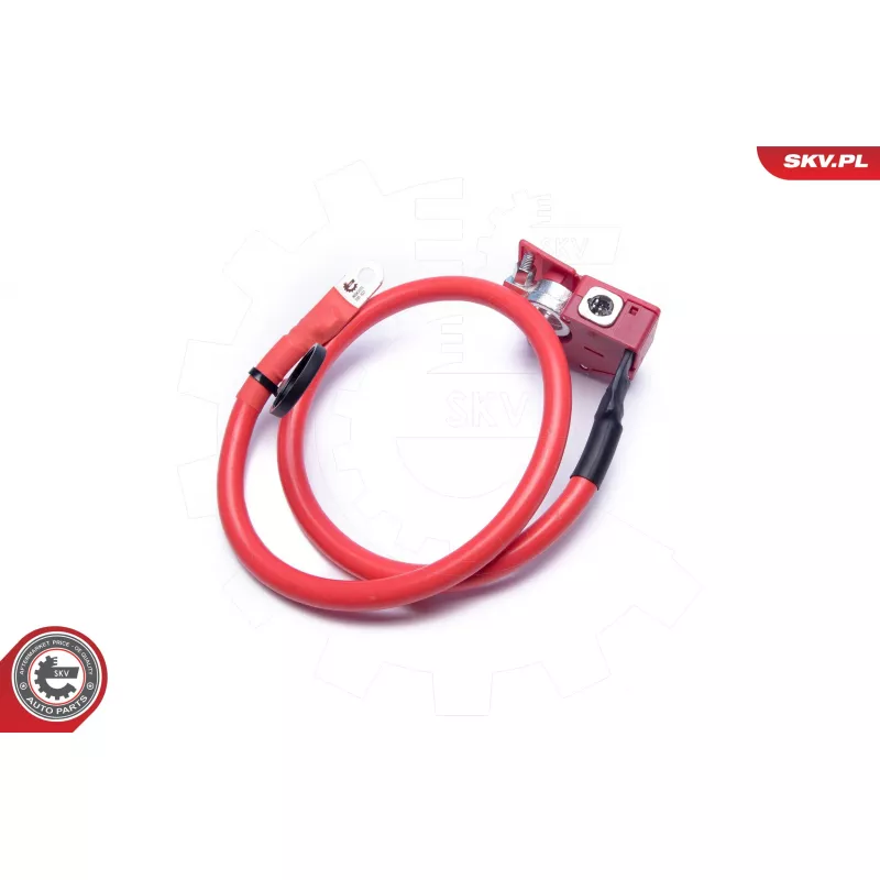 Adaptateur de batterie ESEN SKV 96SKV314 - Visuel 2