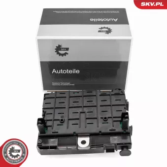Appareil de commande, gestion moteur ESEN SKV 96SKV321 pour SEAT ALTEA 2.0 HDi - 90cv