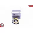 Ressort tournant, Airbag ESEN SKV [96SKV552]