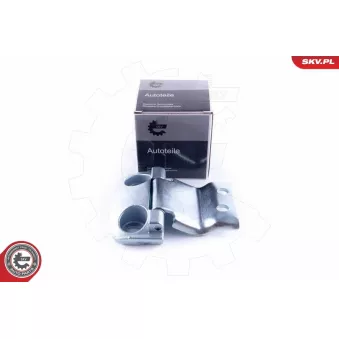 Charnière de porte ESEN SKV 96SKV760 pour PEUGEOT BOXER 2.0 BlueHDi 110 - 110cv