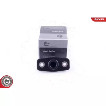 Guidage, bouton de verrouillage ESEN SKV 96SKV766 pour RENAULT MASTER 2.5 DCI - 146cv