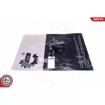 Vanne de regulation chauffage ESEN SKV 96SKV913