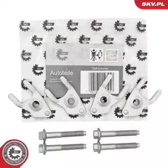 Kit de montage, Unité pompe-injecteur ESEN SKV 97SKV133 pour CITROEN C2 2.0 EcoBlue - 185cv