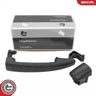 Poignée extérieure de porte ESEN SKV OEM 9101FG