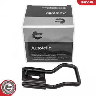 Guidage, bouton de verrouillage ESEN SKV 97SKV180 pour RENAULT KANGOO 1.2 BiFuel - 58cv