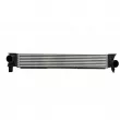 NISSENS 961315 - Intercooler, échangeur