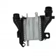 NISSENS 961321 - Intercooler, échangeur