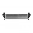 NISSENS 961340 - Intercooler, échangeur