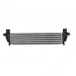 NISSENS 961340 - Intercooler, échangeur