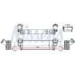 NISSENS 961344 - Intercooler, échangeur