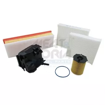 Kit de filtres MEAT & DORIA FKPSA005 pour VOLKSWAGEN TIGUAN D2 - 114cv