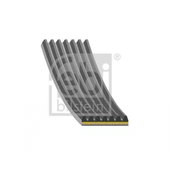 FEBI BILSTEIN 199731 - Courroie trapézoïdale à nervures