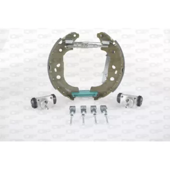 Jeu de mâchoires de frein OPEN PARTS OEM 77363946