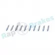 Soupape/vis de purge d'air RAP BRAKES [R-Z0174]