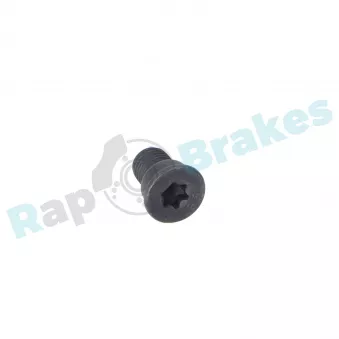 Vis, disque de frein RAP BRAKES R-Z0262