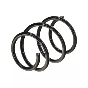 TEKNÖR ASZ-BM-038 - Ressort de suspension