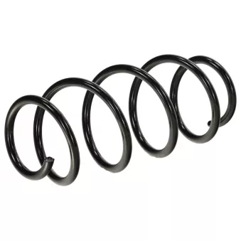 Ressort de suspension TEKNÖR OEM 1766929 Ressort de suspension TEKNÖR OEM 1766929