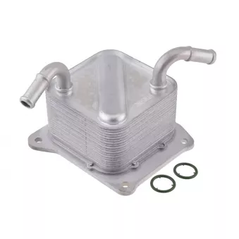 Radiateur d'huile de boîte automatique TEKNÖR CCL-MS-002 pour VOLKSWAGEN TRANSPORTER - COMBI 1.2 - 80cv