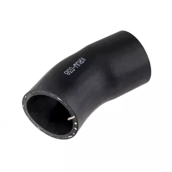 Gaine de suralimentation TEKNÖR GPP-CT-038 pour VOLKSWAGEN PASSAT 160 Multijet 3.0 D - 156cv