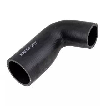 Gaine de suralimentation TEKNÖR GPP-VW-215 pour SEAT ALHAMBRA 1.9 TDI - 115cv