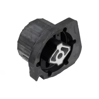 Suspension, boîte automatique TEKNÖR ZPS-BM-067 pour BMW X5 3.0d - 218cv