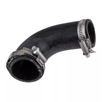 Gaine de suralimentation TEKNÖR GPP-VW-233 pour DODGE CARAVAN 1.9 TDI 4motion - 90cv