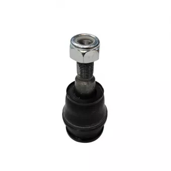 Rotule de suspension CTR CB0357 pour SUBARU TRIBECA 3.0 - 245cv