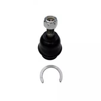 Rotule de suspension CTR CB0432 pour TOYOTA LAND CRUISER 4.0 - 249cv