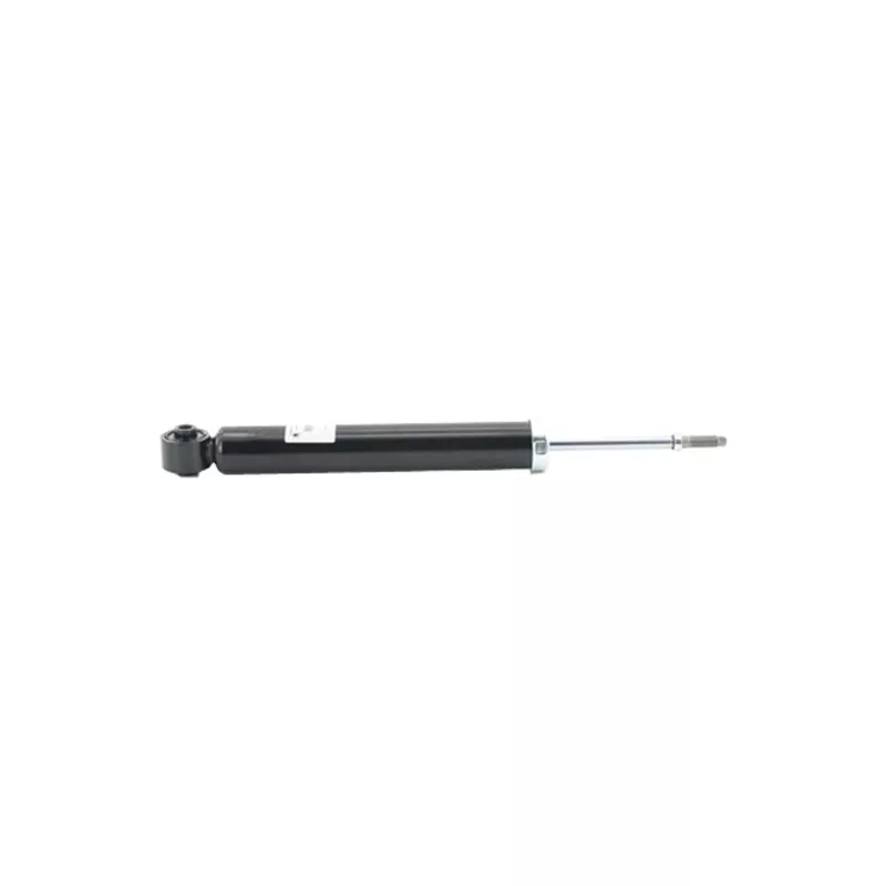 Jeu de 2 amortisseurs arrière CTR GY2043G - Visuel 1