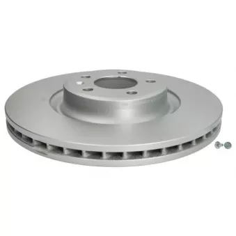 Jeu de 2 disques de frein avant ABE OEM 8W0615301P