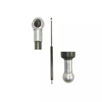 Vérin de hayon, de coffre MAGNUM TECHNOLOGY OEM 8P3827552C