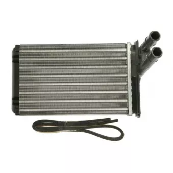 Système de chauffage THERMOTEC D6W025TT pour AUDI A3 2.5 TDI Syncro/4motion - 150cv