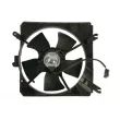 THERMOTEC D80307TT - Ventilateur, refroidissement du moteur